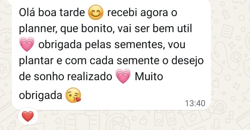 Testemunho do Planner Sincroniza-te